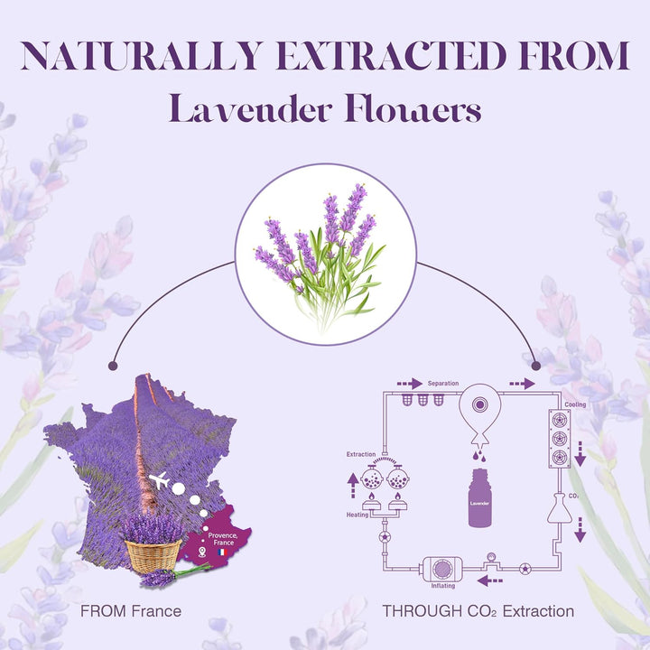 Lavender Essential Oil 100Ml, Natural Therapeutic Grade, Aromatherapy Oil Lavender for Better Sleep, Health Care, Relaxation, Ideal for Humidifier, Diffuser & Wellness