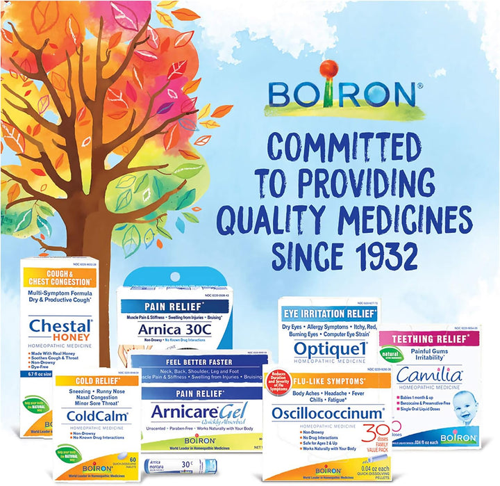 Arnica Montana 200Ck Homeopathic Medicine for Muscle Pain and Stiffness - Pack of 3 (240 Pellets)