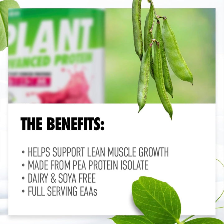 Plant Protein Matrix | 30 Servings of High Protein | Plant Shake with Amino Acids | for Optimal Nutrition When Training | Low Sugar Gym Supplements (Vanilla Creme, 900G)