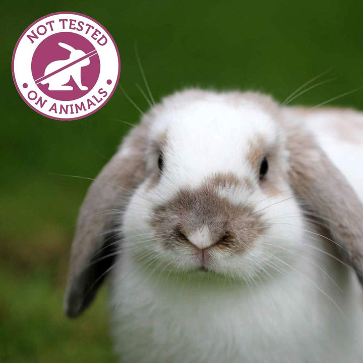 ® Colloidal Oat Cream 500Ml Pump – Paraffin Free, Vegan, 2-In-1 Moisturiser and Soap Substitute for Dry Skin, Eczema, Dermatitis and Psoriasis