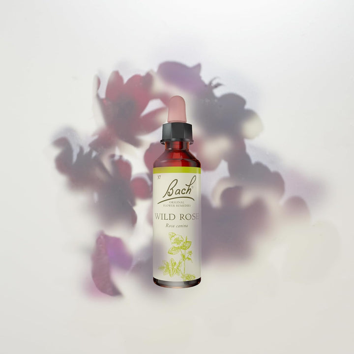 Original Flower Remedies (Wild Rose) Live the Day, Show Enthusiasm, Emotional Wellness, Natural Flower Essence, 20Ml