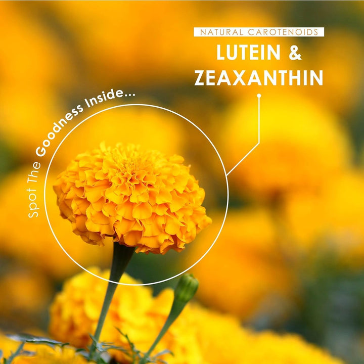 Lutein & Zeaxanthin with Bioperine® – 40Mg Lutein 2.85Mg Zeaxanthin – 90 Vegan Capsules – Natural Carotenoids from Marigold Extract – Resealable and Recyclable Pouch by