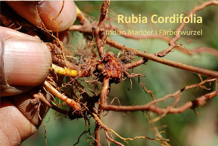 Cream Sensitive - Ayurvedic Care for Skin Irritation, Neurodermatitis and Psoriasis