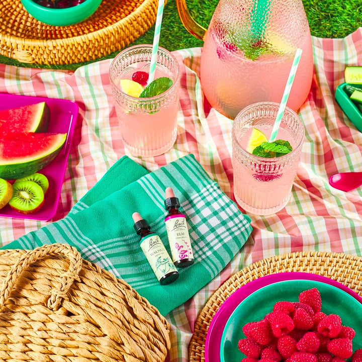 Bach Original Flower Remedies (Walnut) Stand Your Ground, Accept Change, Emotional Wellness, Natural Flower Essence, 20Ml