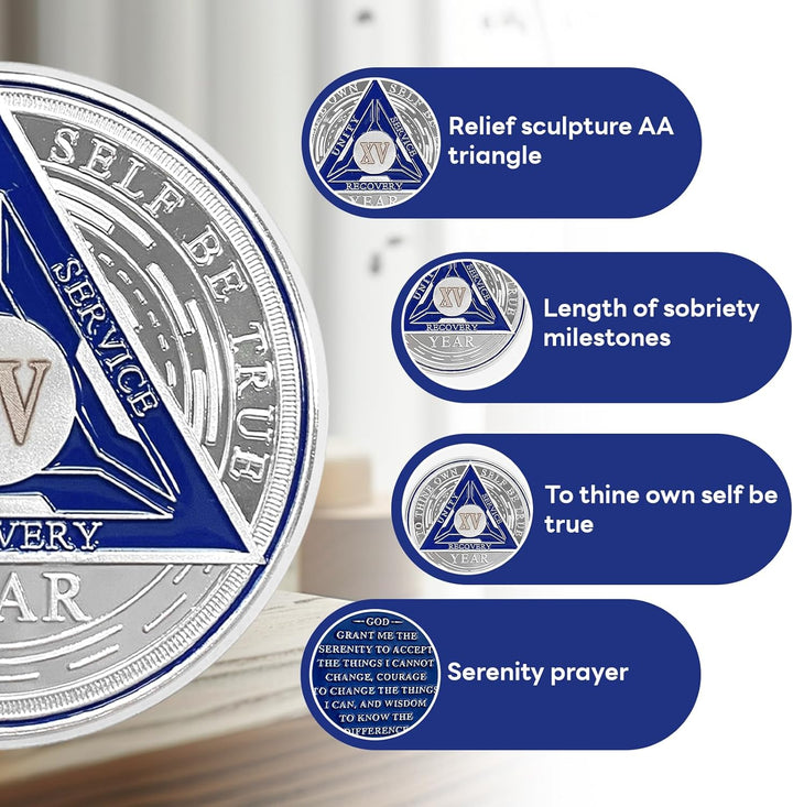 1 Year Sobriety Chips AA Coin Alcoholics Anonymous Medallion Sobriety Gifts for Men Women Recovery Chip Anniversary Token