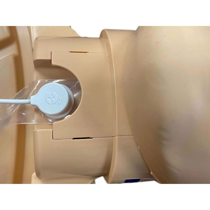 PP-AM-2000-1-DS Adult Series 2000 CPR Training Manikin with Advanced Feedback, Dark Skin