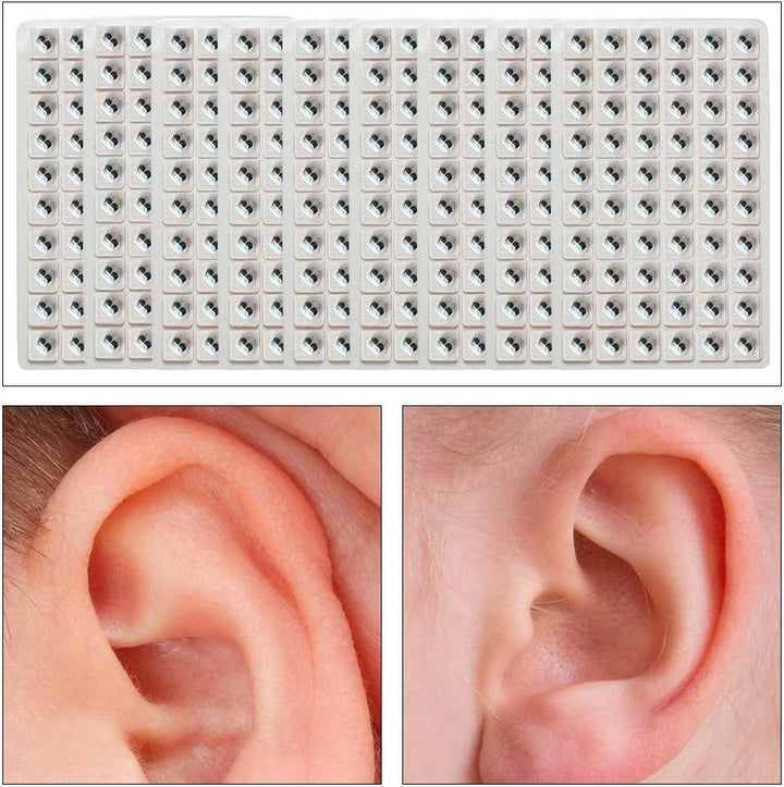 600 Pcs Acupuncture Vaccaria Ear Seeds Disposable Ear Press Seeds Acupuncture Vaccaria Massage Bean Ear Press Patch Use for Ear(10 Sheets)