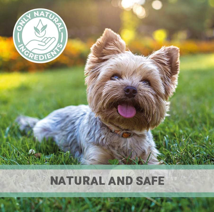 Cough Medicine for Dogs, Cats & Pets 30Ml - 100% Natural Dry Cough Liquid Drops Remedy for Kennel Cough, Respiratory Tract Symptoms, Dry Nose, Sneezing & Barky Hacking