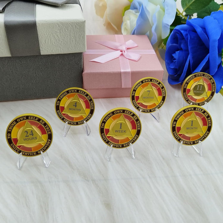 24 Hour Sobriety Chips, Tri-Plate 24Hr Sobriety Coin - One Day AA Medallion Recovery Chips Sober Coins for Narcotics Alcoholics Anonymous Recovery Sober Gifts for Men/Women