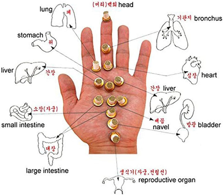 Moxa Moxibustion Mini Stick-On Moxa Homeopathic X (1100Pcs / 1 Box)