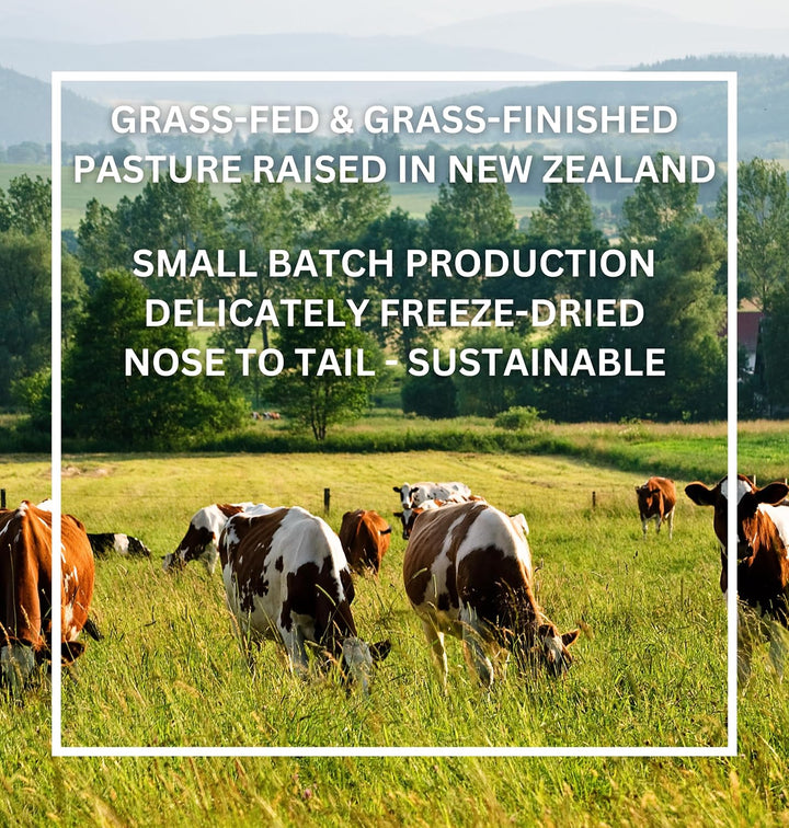 Premium Beef Organs & Bone & Marrow Complex Duo - 120 Capsules Grass-Fed Freeze-Dried Liver, Bone & Marrow, Heart, Kidney, Pancreas, Spleen, Intestine, Tripe/Stomach, No Hormones, Antibiotics or GMO