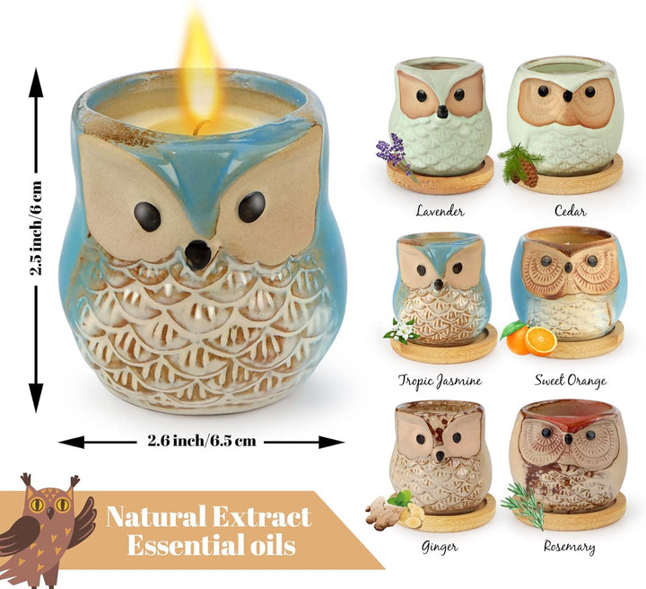 Luxury Scented Candle Gift Set for Women - 6-Piece Whimsical Owl-Themed Birthday Gifts for Her, Enchanting Aromatherapy Presents for Women, Thoughtful Anniversary for Best Friend, Mom, Wife