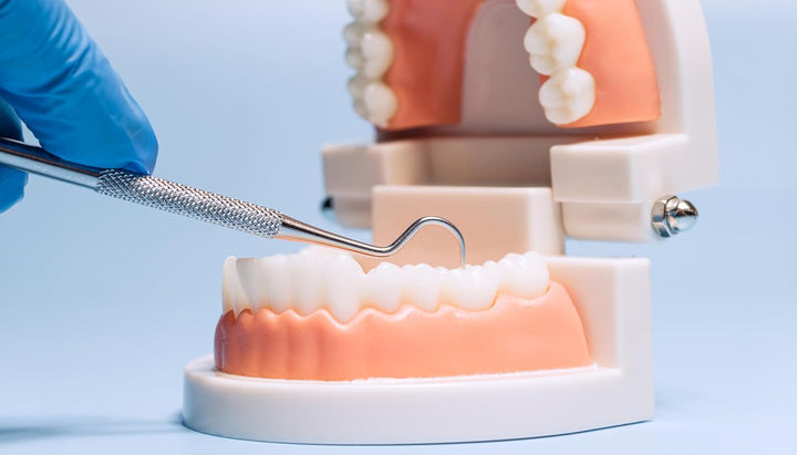 Thermoplastic Beads Pellets Mold-Able Pellets Polymorph 25 Grams for Teeth(Made in Spain) plus a Scaler