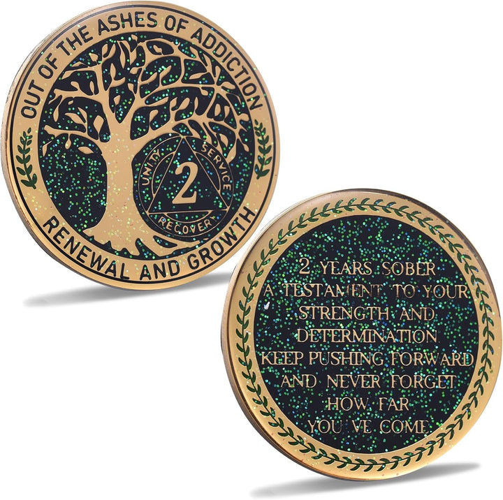 24 Hours, 1/2 Yearsobriety Chip, Tree of Life Recovery Coin, AA Recovery Medallion, Anniversary Token Sobriety Gifts, Alcoholics Anonymous Medallion (1 Year)