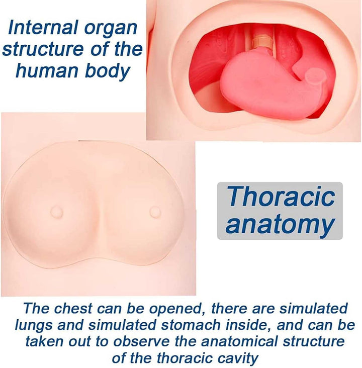 170Cm Life Size Patient Care Manikin Training Cpr Simulator Basic Geri Nursing Skills Geriatric Human Model Mannequin Full Body for Students Education Teaching Medical Training Skills