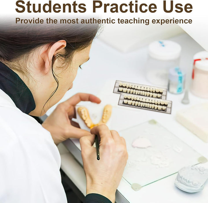 84Pcs False Teeth, Fake Teeth Dental Acrylic Resin Denture, Denture Repair Kit, 23 Shade A2 Upper + Lower Dental Materials for Replacement, for Missing Loose Tooth, 3 Sets, 23 A2