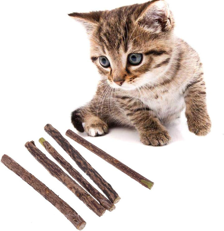 5 Pcs L Polygonum Stick for Cleaning Teeth Molar Ks Silvervine Chew Dental Care Polygonum Multiflorum