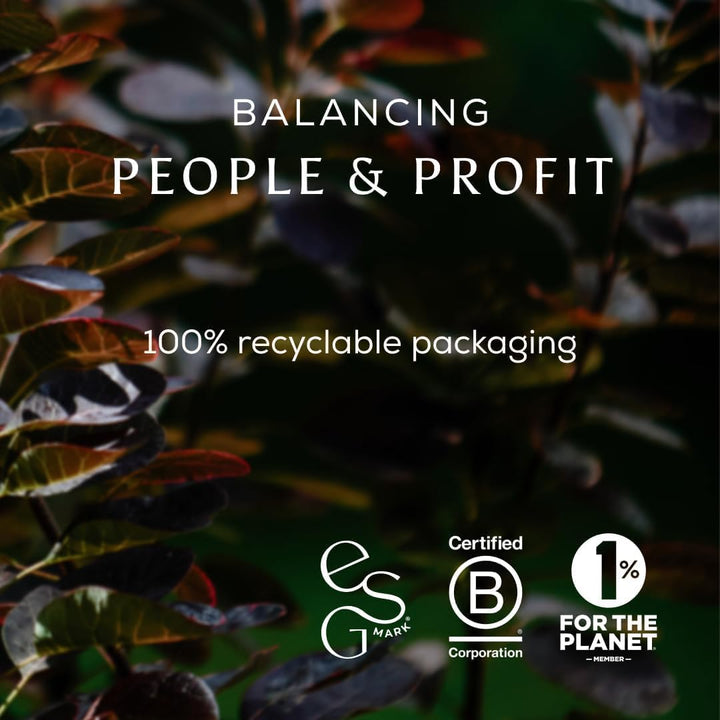 - True Creatine+ - 180G - Premium Creatine Monohydrate Powder - 100% Micronized for Women - High Performance, Strength Building - Muscle Recovery, Cognitive Function, Wellness