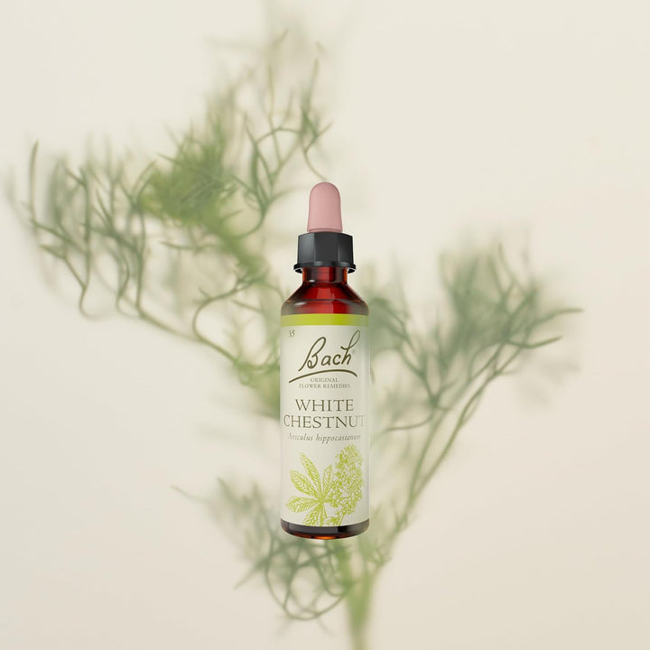 Bach Original Flower Remedies (White Chestnut) Live the Day, Stay Tranquil, Emotional Wellness, Natural Flower Essence, 20Ml