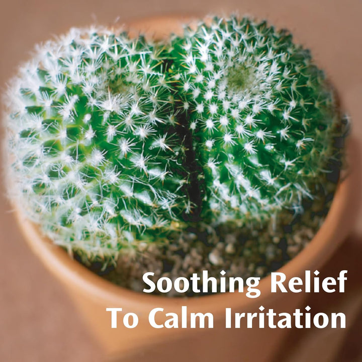 Ointment – Proven Formula Shrinks Piles, Relieves Discomfort, Soothes Itching & Lubricates – 25 G (Pack of 1)