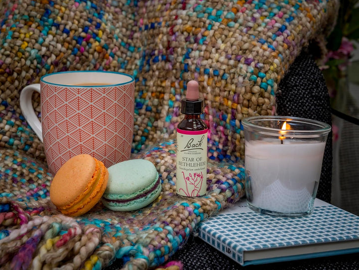 Bach Original Flower Remedies (Star of Bethlehem) Find Joy & Hope, Be Comforted, Emotional Wellness, Natural Flower Essence, 20Ml