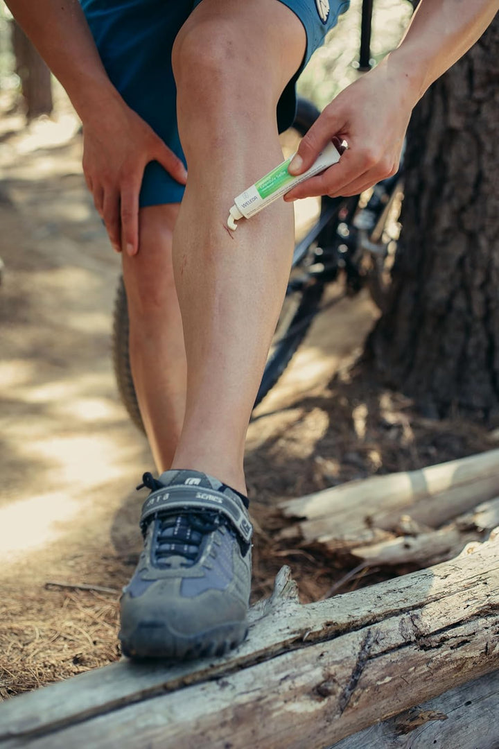 Calendula Cuts & Grazes Skin Salve, Traditional Healing Ointment, Natural Antiseptic, Antibacterial, Calendula, Traditional Remedy, 25 G