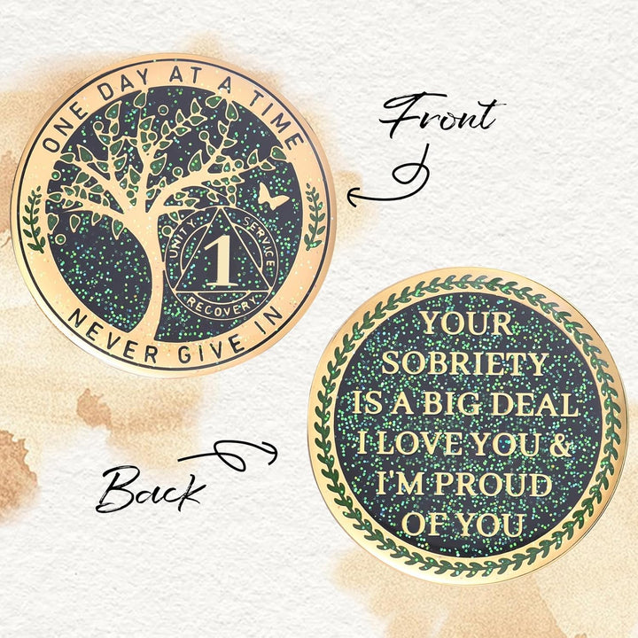 24 Hours, 1/2 Yearsobriety Chip, Tree of Life Recovery Coin, AA Recovery Medallion, Anniversary Token Sobriety Gifts, Alcoholics Anonymous Medallion (1 Year)