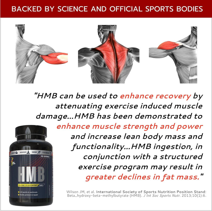 'S HMB - Muscle Strength & Fitness, 1000Mg per Serving - Protect from Muscle Loss during Calorie Cutting, Ageing or Inactivity - 120 Capsules, 60 Servings