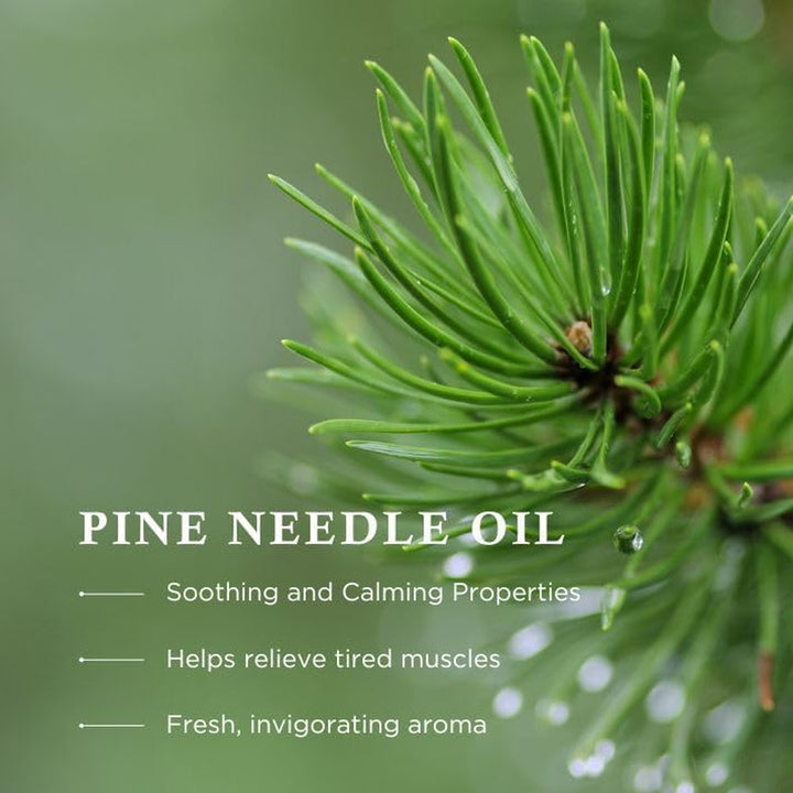 Pine Bath Essence - Invigorating and Relaxing Bath Additive with Essential Oils of Pine Needles and Capsicum for Muscle Soothing Relaxing Bath Time, 500Ml