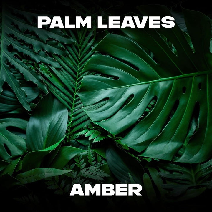 Jungle Fresh Deodorant Gift Set Body Spray + Socks Perfect Gifts for Him 1 Piece