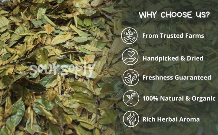– Premium Dried Soursop Leaves (100G) | Whole Dried | No Additives | Vegan