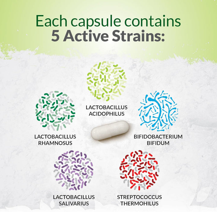 Bio-Cultures Complex - 180 High Strength Capsules - Lactobacillus Acidophilus, Rhamnosus & Bifidobacterium - 6 Month Supply - Gentle Vegetarian Multi-Strain Formula for Men & Women -