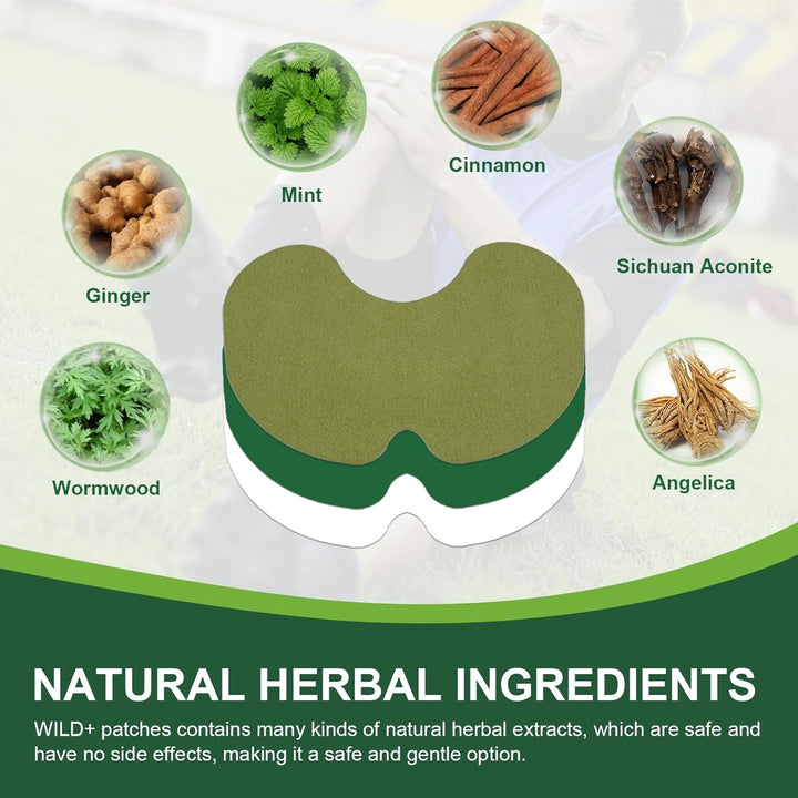 Knee Pain Relief Patches, 40PCS Natural Knee Patch for Pain Relief, Wormwood Herbal Pain Relief Patches Heat Patches for Knee/Back/Neck/Shoulder/Joint Pain, Muscle Soreness