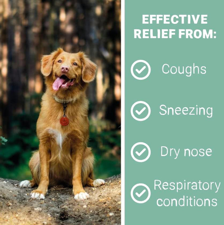 Cough Medicine for Dogs, Cats & Pets 30Ml - 100% Natural Dry Cough Liquid Drops Remedy for Kennel Cough, Respiratory Tract Symptoms, Dry Nose, Sneezing & Barky Hacking