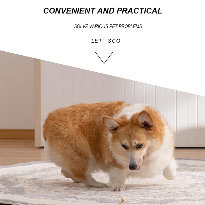 4-Piece Lice Comb Kit - Metal & Plastic Double Sided Nit & Flea Combs