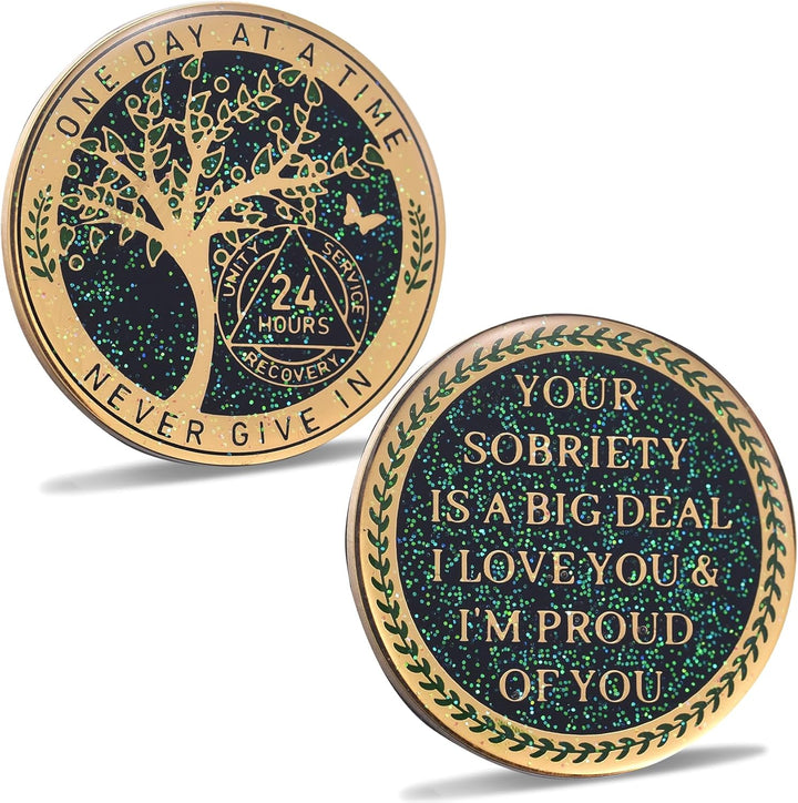 24 Hours, 1/2 Yearsobriety Chip, Tree of Life Recovery Coin, AA Recovery Medallion, Anniversary Token Sobriety Gifts, Alcoholics Anonymous Medallion (1 Year)