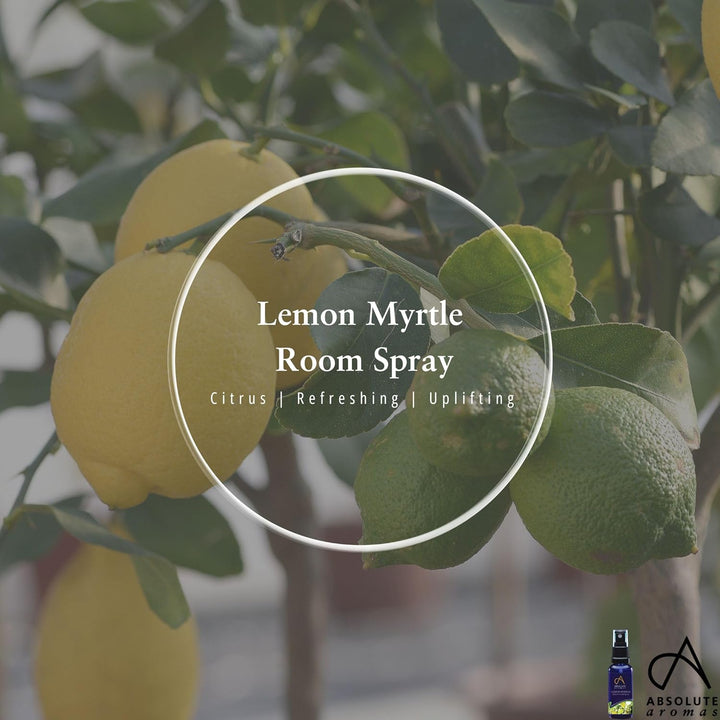 Natural Lemon Myrtle Room Spray 100Ml – Uplifting Home Fragrance with 100% Pure Essential Oil – Natural Air Freshener for Kitchen, Bathroom & Living Spaces