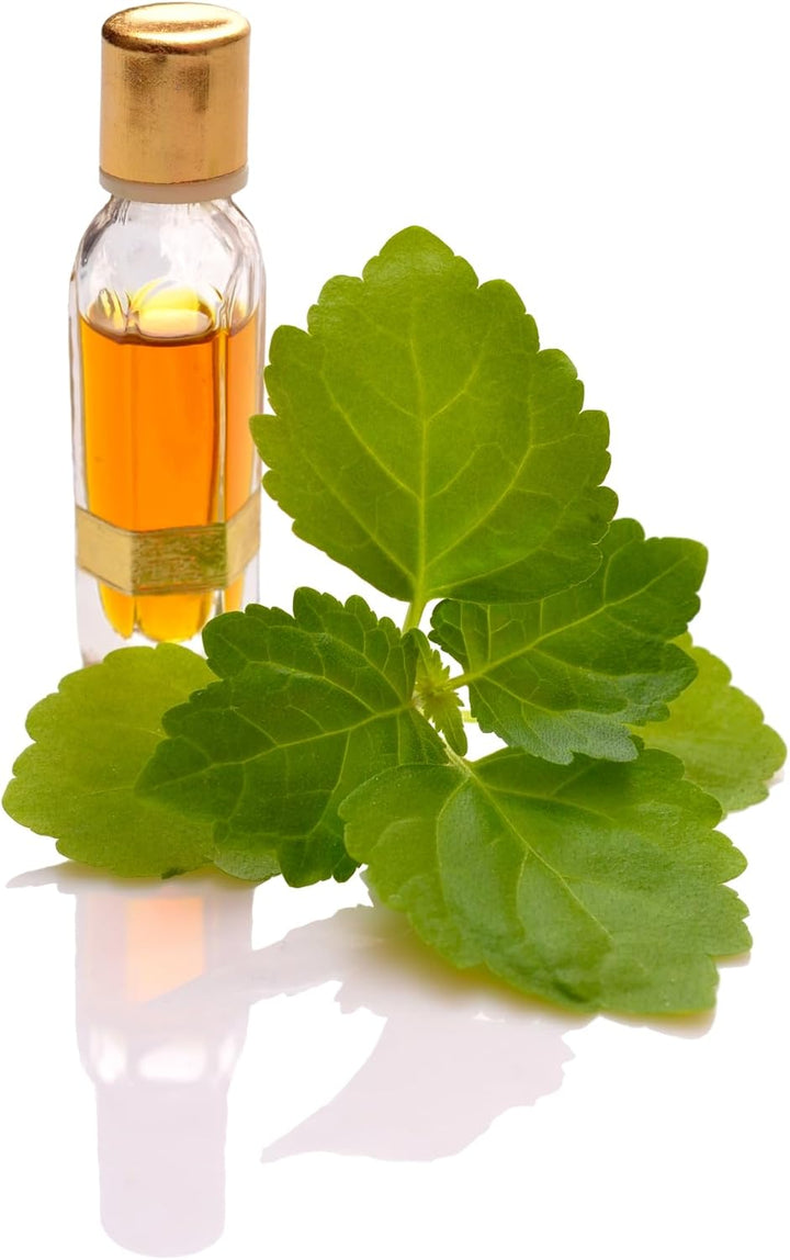 Handmade Comfrey Leaf Salve 120Ml – Made in North Yorkshire – All-Natural Ingredients: Comfrey Oil, Sunflower Oil, Beeswax, Vitamin E (120Ml)