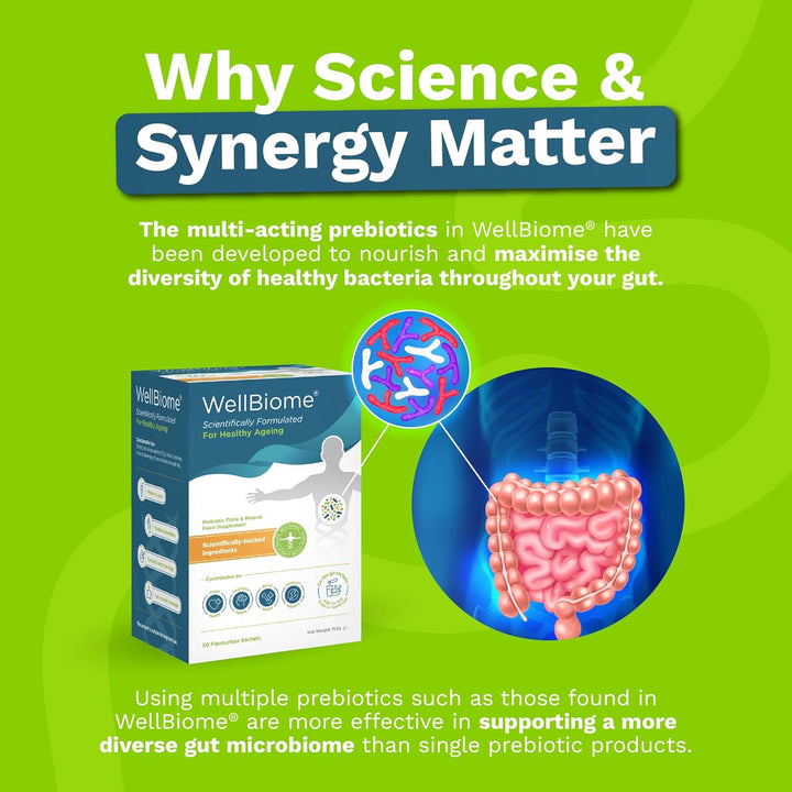 Prebiotic Fibre Complex for Gut Health by  – Probiotic Support, Digestive Wellness, Immune System Support – Magnesium for Anxiety, Mood & Energy – 30 Servings