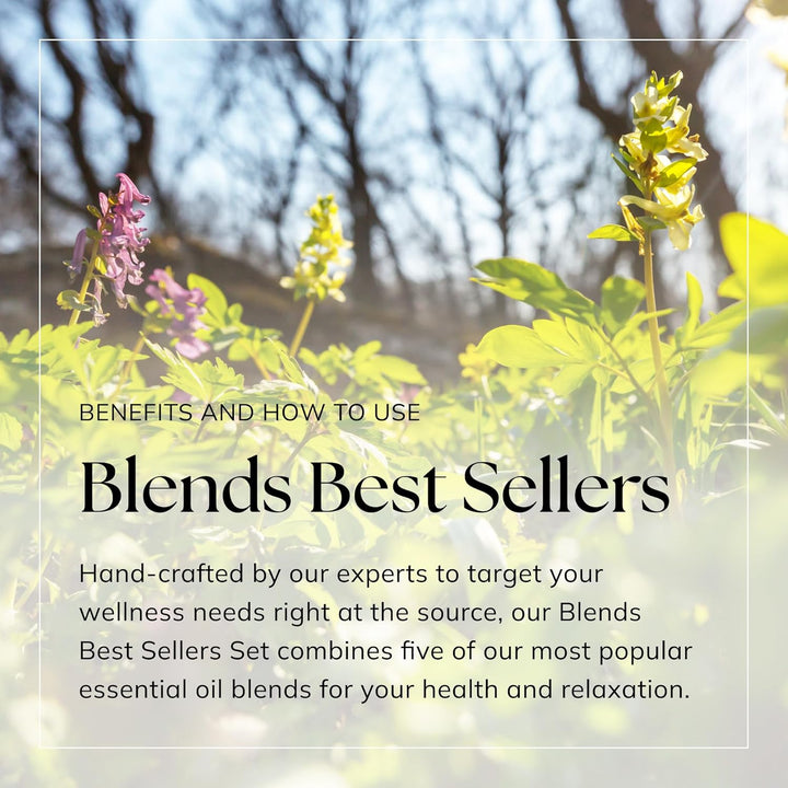 Essential Oils Blends Gift Set | Calming Essential Oils for Diffusers for Home, Sleep, Wax Melts | Relaxing Aromatherapy Oils Set | UK Made & Vegan