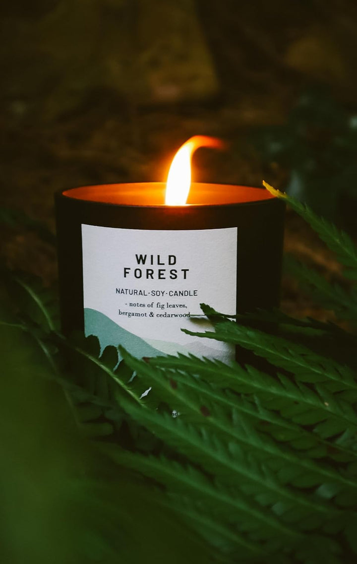 Wild Forest - Organic & Vegan, Luxury Scented Soy Wax Candles. Hand Poured in Loch Lomond, Scotland |  Limited (+8 Scent Options, X2 Sizes) 450G