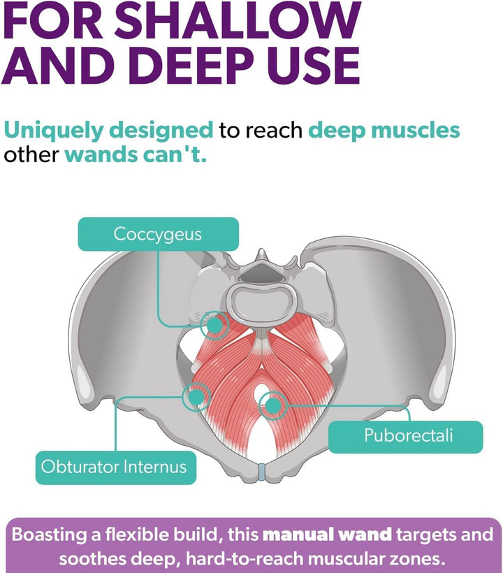 Intimaterose Pelvic Wand, Pelvic Floor Muscle Trigger Point Massager, Perineal Massage Tool for Pelvic Physical Therapy & Pain Relief, Bpa-Free, Latex-Free, Standard (Non-Vibration)