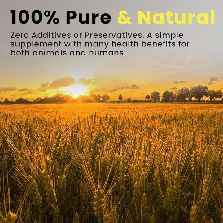 Food PURA 450G Brewers Yeast Powder - Non De Bittered- 100% Natural Source of B Vitamins, Protein & Minerals Supports Immune System, Healthy Skin, Hair & Nails