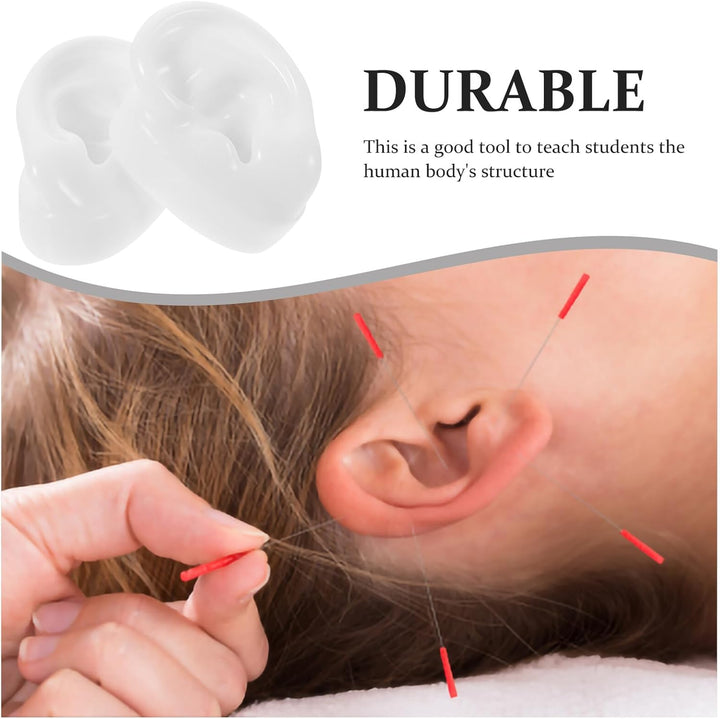 Silicone Artificial Ear Display Models for Hearing Aid Practice and Acupuncture Training Realistic Ear Shape Molds for Jewelry and Piercing Practice White