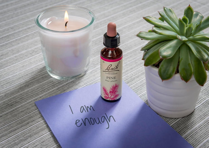 Original Flower Remedies (Pine) Find Joy & Hope, Have Self-Respect, Emotional Wellness, Natural Flower Essence, 20Ml