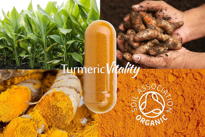 Organic Turmeric Curcumin Capsules 1420Mg High Strength Serving with Black Pepper & Ginger for Maximum Absorption of Curcumin | 120 Veg Capsules - Certified Organic Supplement