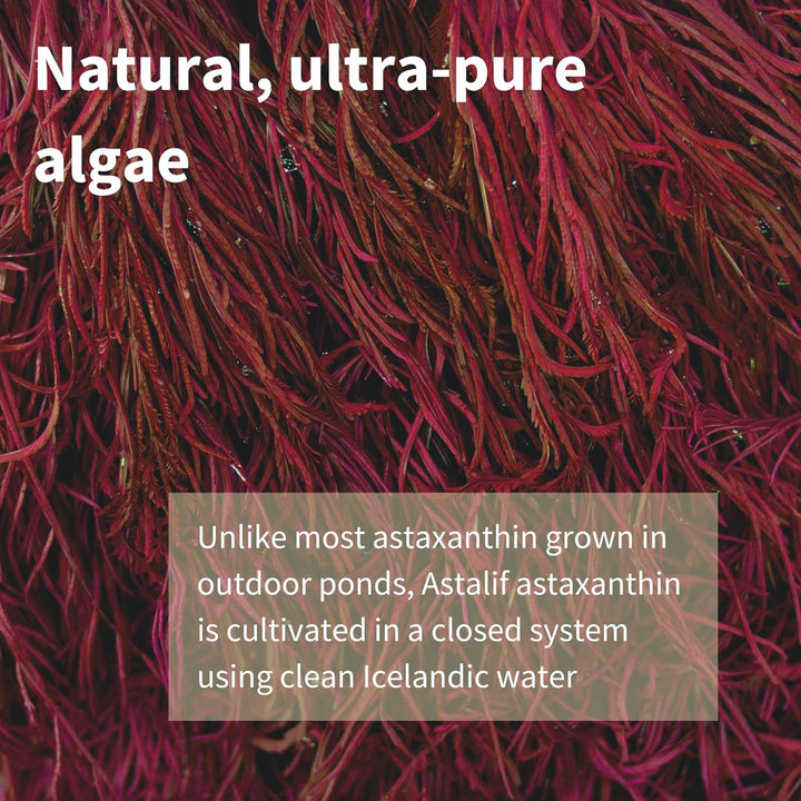 Igennus Astaxanthin Complex, 42Mg Microalgae Complex Oil Providing 4Mg H. Pluvialis Astaxanthin, 90 Vegan Softgels
