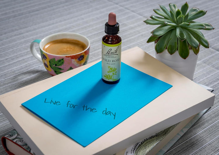 Original Flower Remedies (Wild Rose) Live the Day, Show Enthusiasm, Emotional Wellness, Natural Flower Essence, 20Ml