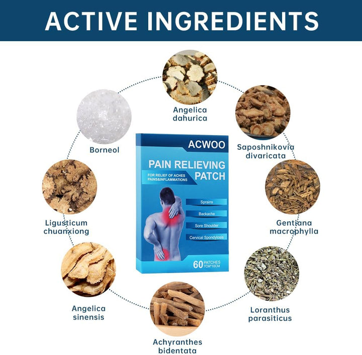 Pain Relief Patches, 60PCS Back & Shoulder Pain Relief Patch, Arthritis Herbal Pain Relief Patch for Back Knee Neck Shoulder Muscle Soreness, Warming Meridians Plaster