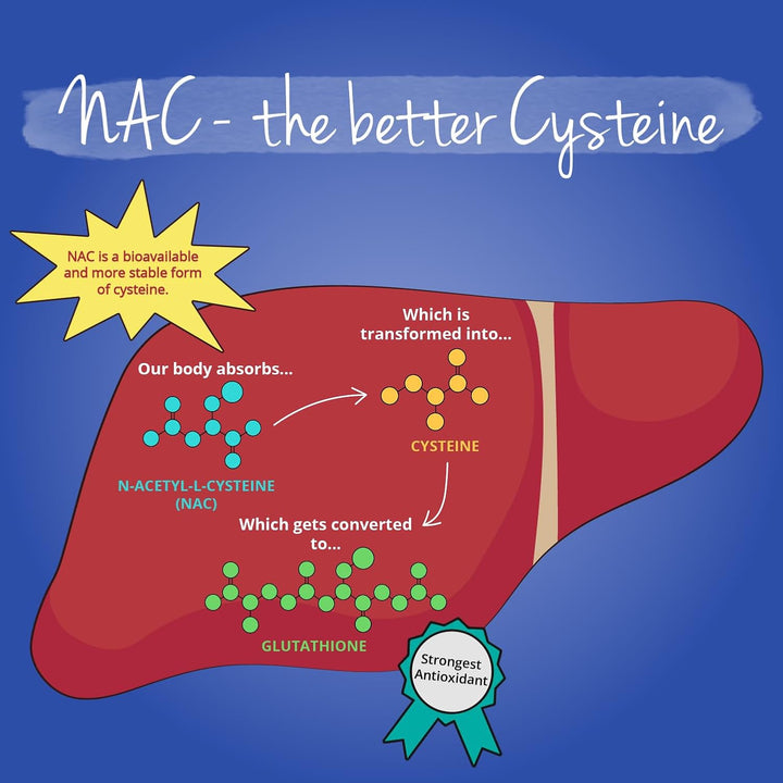 NAC Supplement | 100% Pure N-Acetyl-Cysteine 600 Mg | Lab Tested, NO Additives | 180 Capsules | Vegan